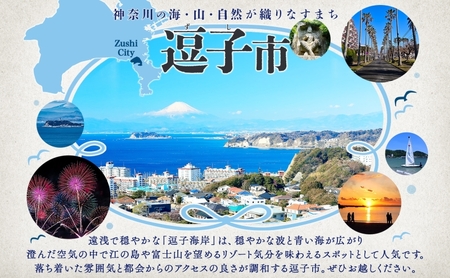 【大人の休日 】逗子海岸で過ごす「ビーチリゾート体験プラン」1名様 ビーチヨガ ウォームアップシーカヤック スタンドアップパドルボード SUP マリンスポーツ ウエットスーツ ハワイ 逗子海岸 少人数 エバーリゾート 神奈川県 逗子市