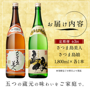 本格焼酎　さつま島美人・島娘セット（1,800mlの2本入り）定期便 全3回_nagashima-1671