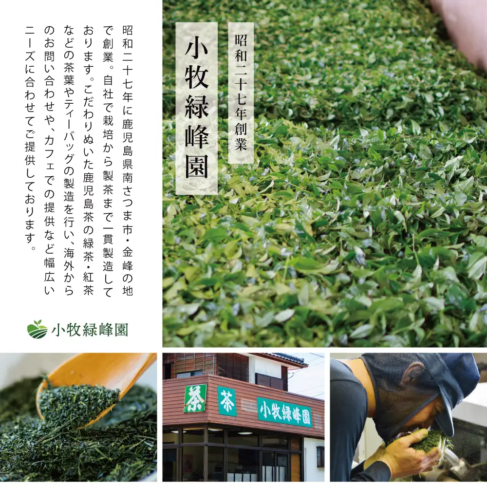 【日本茶AWARD受賞】高級深蒸し茶「さえみどり」 5本セット (100g×5袋) ギフト 贈答 鹿児島県産 かごしま お茶 日本茶 緑茶 茶葉 南さつま市 小牧緑峰園