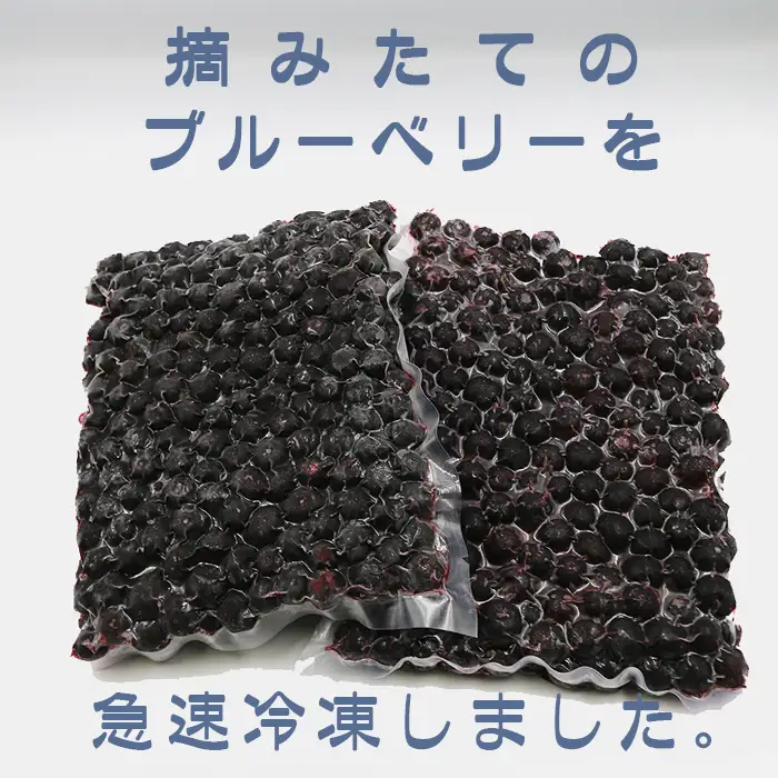 【旬の味を急速冷凍】有機栽培 鴨川産『冷凍ブルーベリー（ラビットアイ）』1kg《数量限定》《期間限定》《冷凍便》急速冷凍 ラビットアイ種 有機肥料 化学農薬不使用 千葉県鴨川市 [長狭ブルーベリーヒルズ][0011-0080]