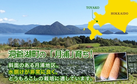 とうもろこし めぐみゴールド 雪の妖精 食べ比べ 北海道産 とうもろこし【5kg】【先行予約】