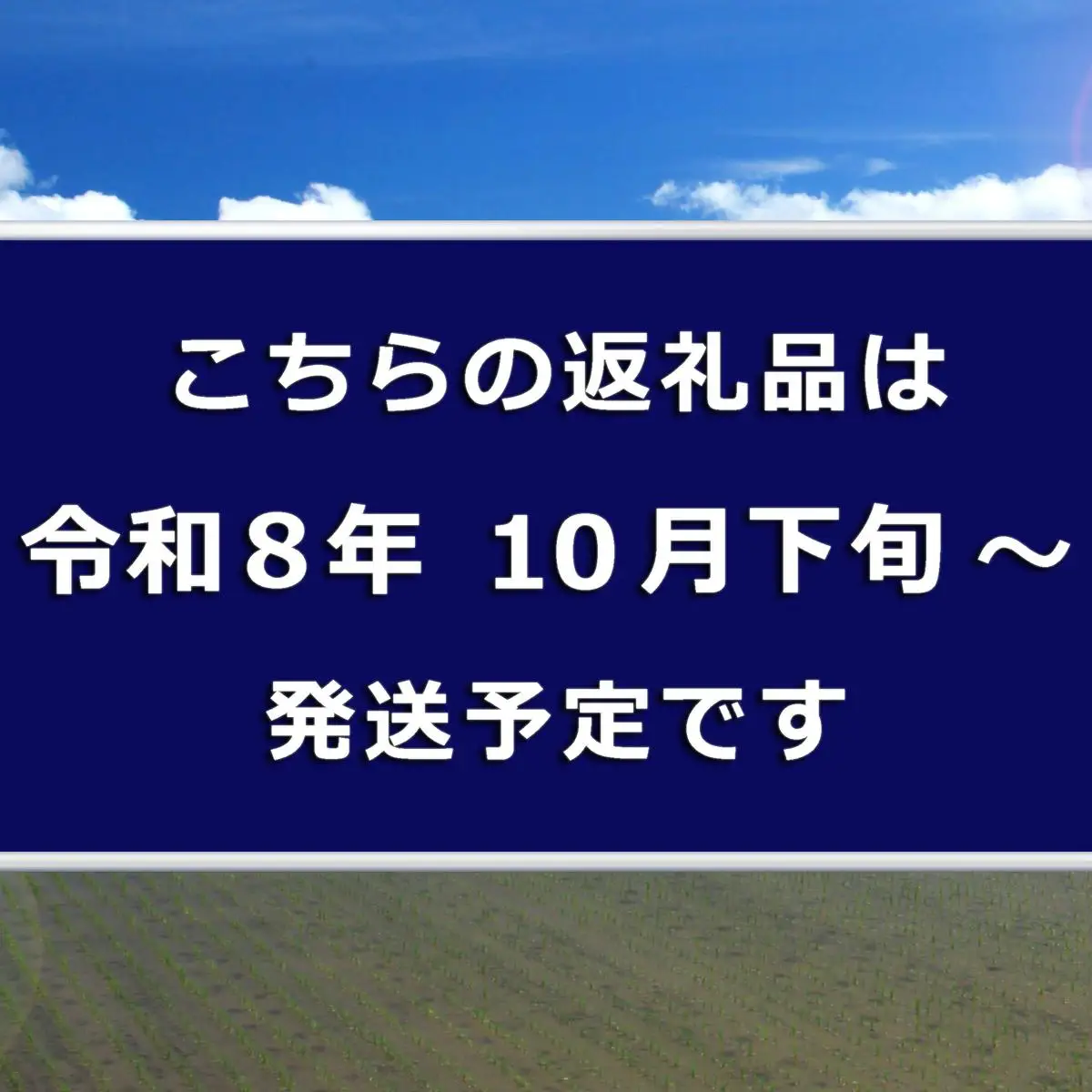 令和８年産米　先行予約【定期便／12ヶ月】魚沼産川西こしひかり5kg  ＜令和8年10月下旬～発送予定＞ 