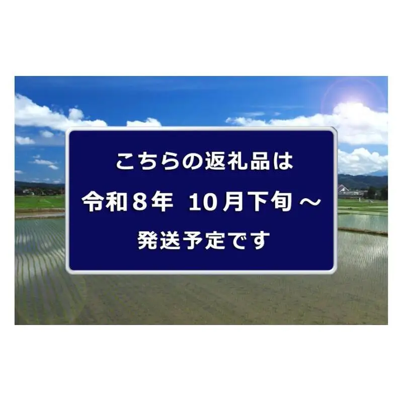 令和8年産　先行予約【定期便／全3回】無洗米 魚沼産コシヒカリ1合×10袋 〈令和8年10月下旬～発送予定〉
