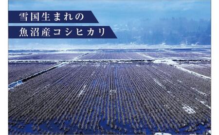 令和8年産　先行予約　【数量限定】 従来品種 魚沼産コシヒカリ 5kg×2 〈令和8年10月下旬～発送予定〉