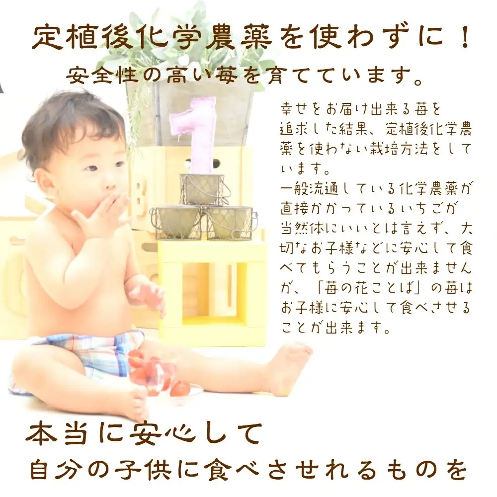【先行予約】越後姫 いちご定期便 ダブル 越後姫 約760g×6回