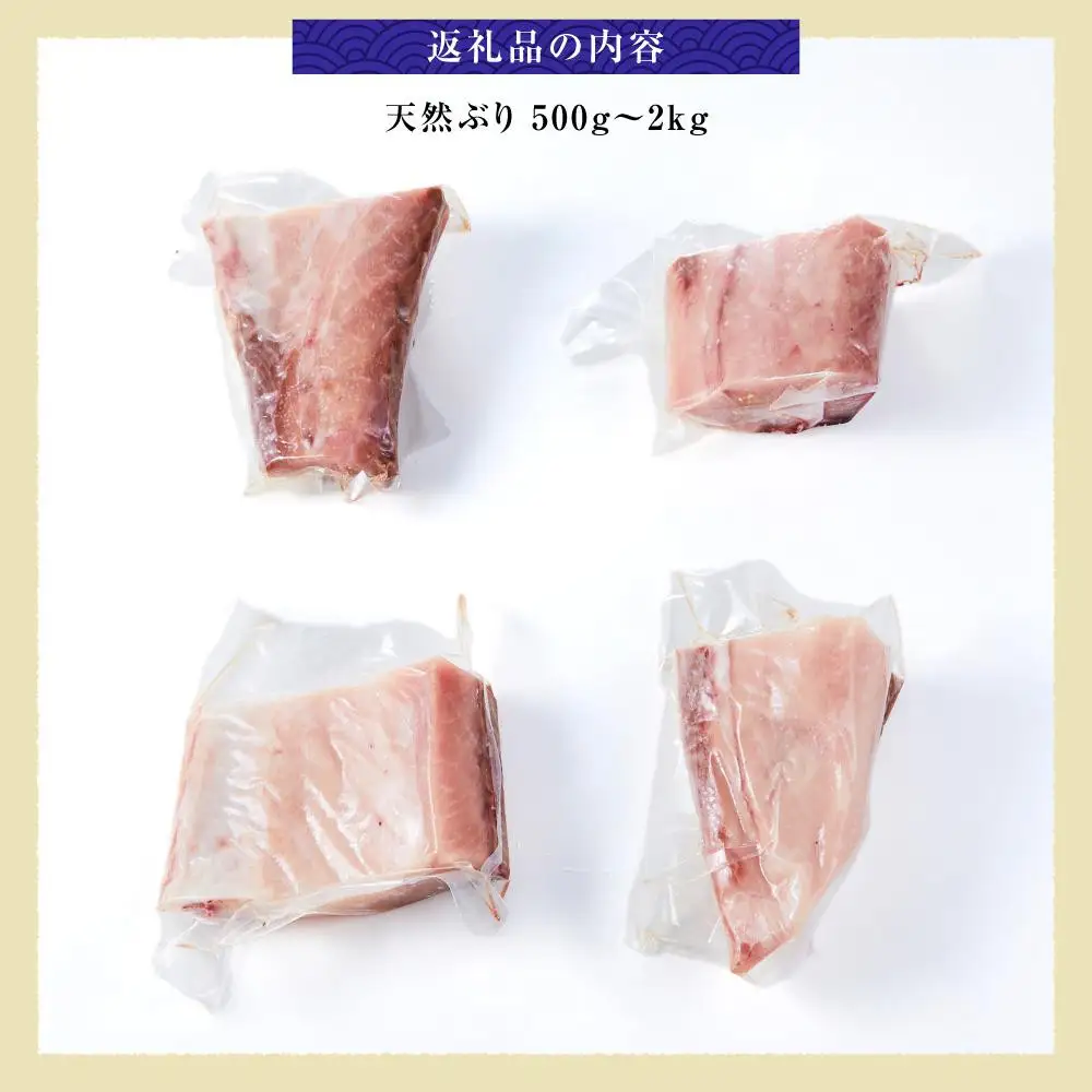 【2026年11月発送】北海道 知床羅臼産 天然ぶり刺身 750g（250g ×3パック）ブリ小分け 酒の肴