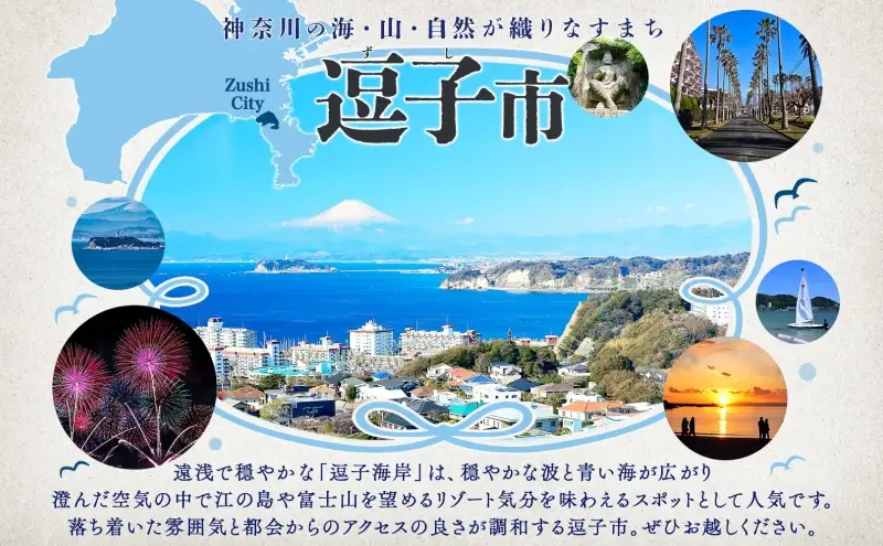 葉山牛セット 四季のプレミアムセットB黒毛和牛冨士屋牛肉店 葉山牛セット【定期便】