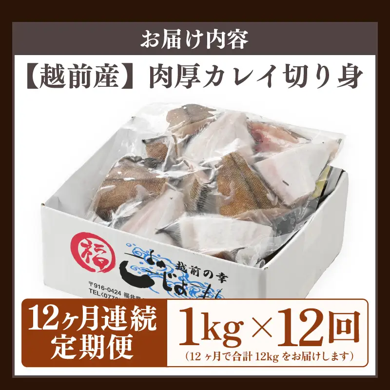 定期便 ≪12ヶ月連続お届け≫ 使い勝手抜群！福井県網元漁師が厳選 肉厚な越前産カレイの切り身（無塩）1kg × 12回 計12kg 【 たっぷり 焼き魚 煮付け バラ凍結便利 】 [e15-e004]