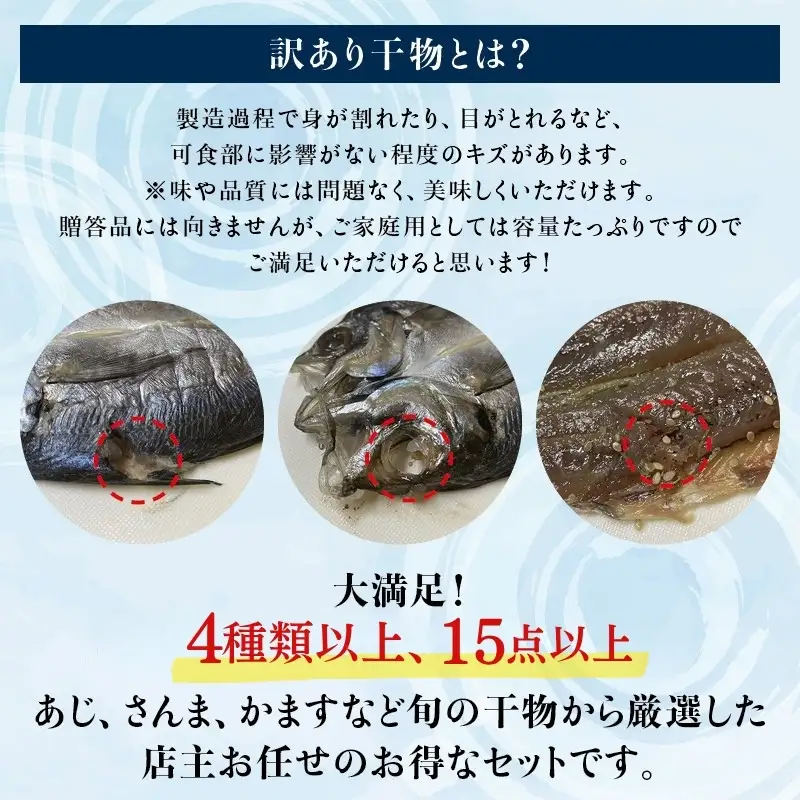 【訳あり干物セット】たっぷり15点以上！おざきのひもの「おまかせスペシャルセット」【冷凍】/ ひもの 干物 干物セット 個包装 イカ 一夜干し 訳あり わけあり【ozk103A-1】