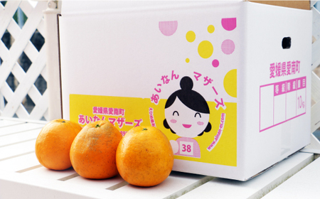 訳あり 紅 河内晩柑 （ S - L サイズ 混合 ） 10kg 7000円 みかん かわちばんかん 愛南ゴールド あいなん ゴールド 美生柑 文旦 グレープフルーツ 和製 幻 の 紅河内晩柑 紅晩柑 希少 家庭用 産地直送 国産 農家直送 糖度 果樹園 期間限定 数量限定 特産品 ゼリー ジュース 人気 限定 さわやか 甘い フルーツ 果物 柑橘 蜜柑 規格外 愛媛県 愛南町 あいなんマザーズ みかん 河内晩柑 愛南ゴールド みかん 河内晩柑 愛南ゴールド みかん 河内晩柑 愛南ゴールド みかん 河内晩柑 愛南ゴールド みかん 河内晩柑 愛南ゴールド みかん 河内晩柑 愛南ゴールド みかん 河内晩柑 愛南ゴールド みかん 河内晩柑 愛南ゴールド みかん 河内晩柑 愛南ゴールド みかん 河内晩柑 愛南ゴールド みかん 河内晩柑 愛南ゴールド みかん 河内晩柑 愛南ゴールド みかん 河内晩柑