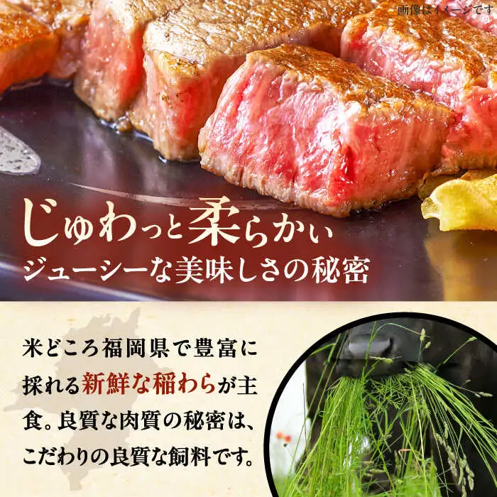 【全10回定期便】博多和牛 サーロイン ステーキ 200g × 4枚 [ADBM017] サーロイン 定期便