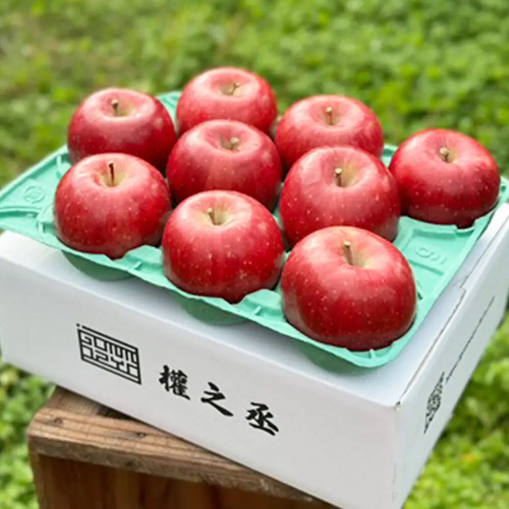【26年11月下旬～発送】りんご コスモふじ【家庭用】約3kg 權之丞 葉とらずりんご 青森りんご 先行受付 青森県 弘前市 果物 フルーツ 林檎 リンゴ くだもの 不揃い 規格外