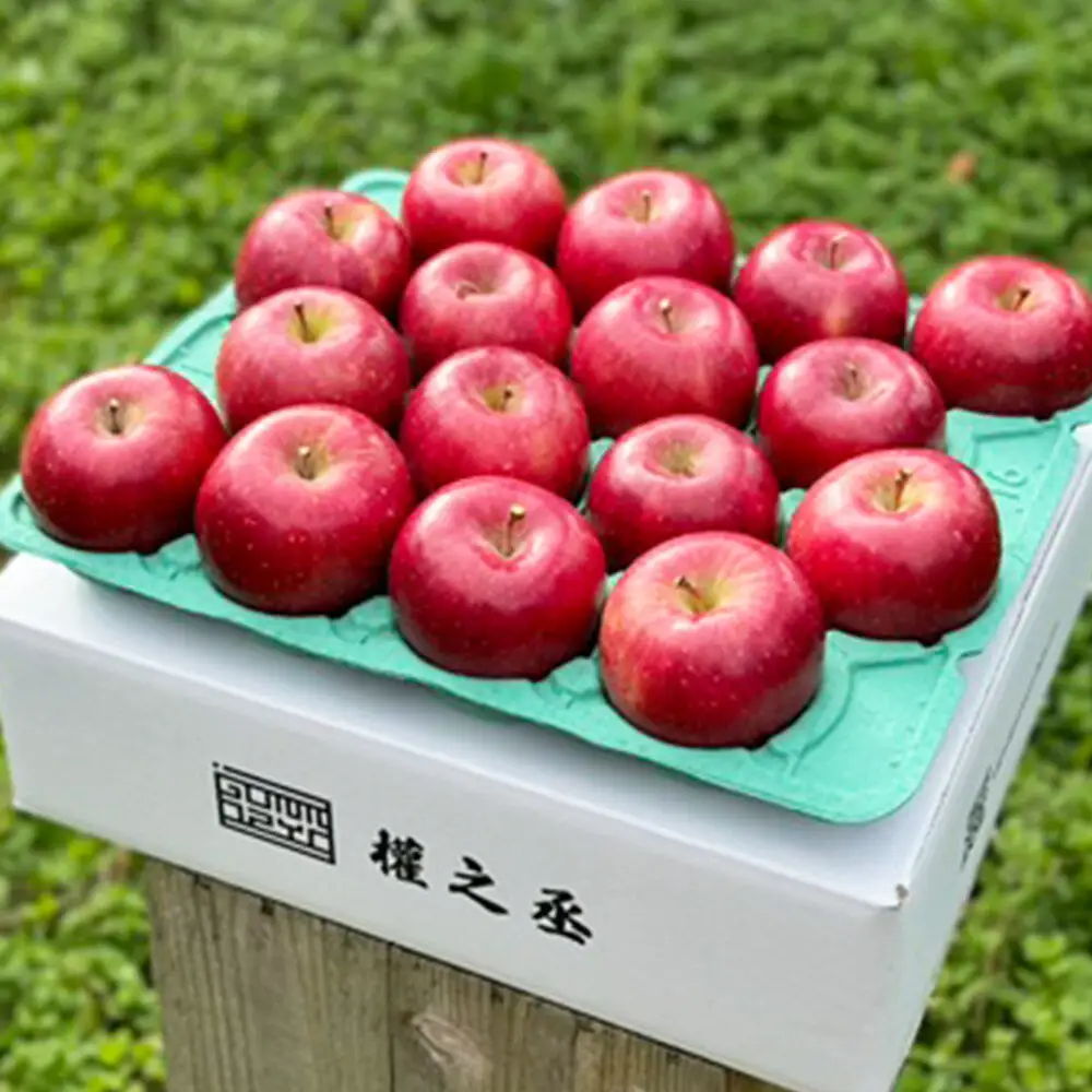 【26年11月下旬～発送】りんご コスモふじ【家庭用】約5kg 權之丞 葉とらずりんご 青森りんご 先行受付 青森県 弘前市 果物 フルーツ 林檎 リンゴ くだもの 不揃い 規格外