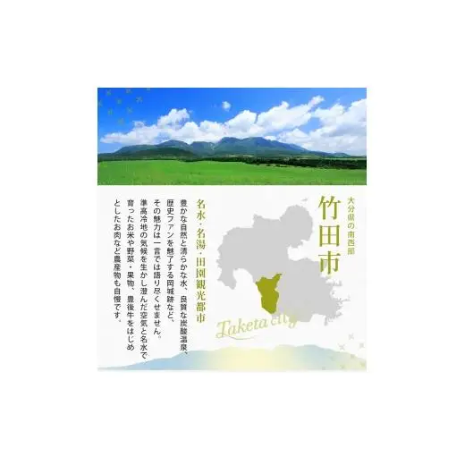 赤川温泉 濃縮 温泉水 (湯の華) 1L 2本
