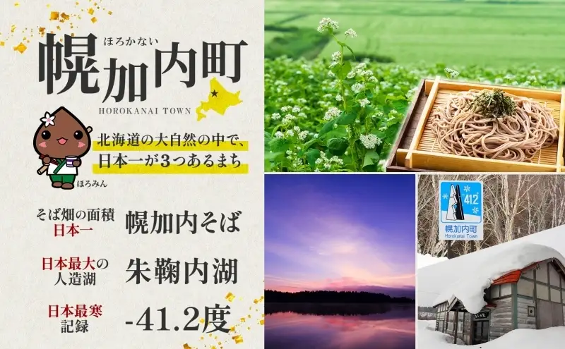 ＜2026年秋以降出荷＞ 北海道 じゃがいも 男爵 M～L 約4kg 特別栽培 ジャガイモ 馬鈴薯 だんしゃく 芋 いも イモ ポテト 野菜 農作物 国産 ホクホク 甘い  お取り寄せ 産地直送 北海道産 畑農場 送料無料 幌加内