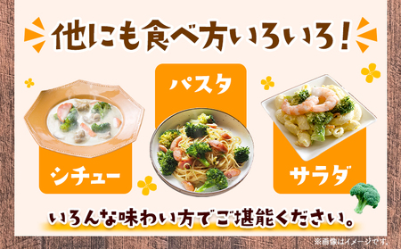 ブロッコリー 花田農園 の ブロッコリー 10個 花田農園 《11月下旬-3月末頃出荷》福岡県 鞍手町 ぶろっこりー 野菜 ブロッコリー 産地直送 