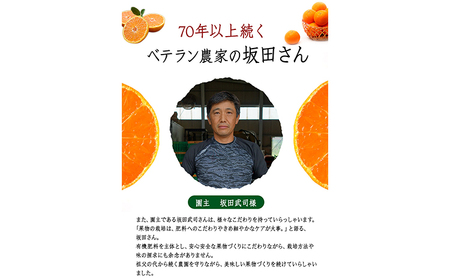 みかん ご家庭用  約 5kg 坂田農園 みかん