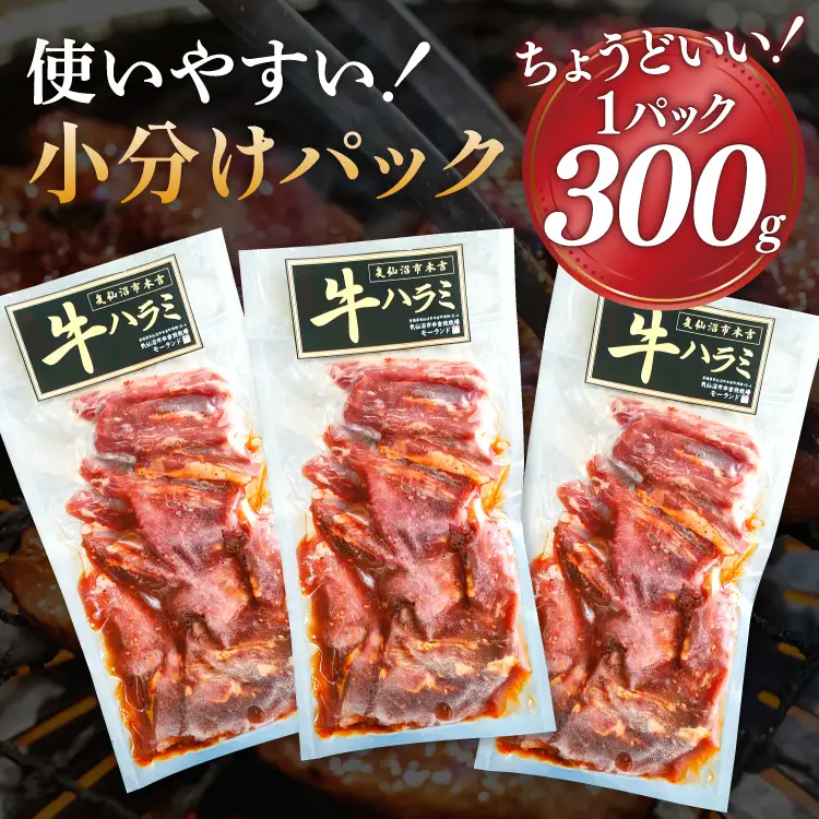 特製タレ漬 牛ハラミ 計900g (300g×3p) ハラミ 