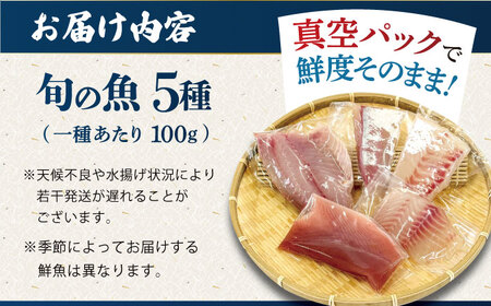【1週間以内発送】【下処理済】超速冷凍鮮魚5種 五島市 / 金沢鮮魚[PEP018]  柵 冷蔵 真空パック 新鮮 下処理済み 海鮮 刺身 セット さしみ お刺身 おさしみ お刺し身 鮮魚 魚魚 鮮魚 鮮魚ボックススピード発送 最速発送 最短発送