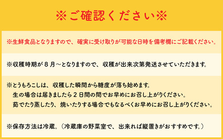 サニーショコラ　9本セット | とうもろこし