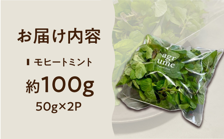 水耕栽培 モヒートミント 約50g×2袋 長与町/アグリューム[EAI126]  ミント みんと ハーブ はーぶ ハーブティー