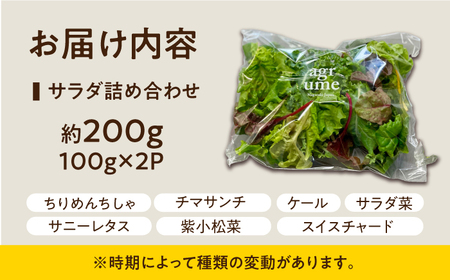水耕栽培 新鮮サラダ野菜の詰め合わせセット 約100g×2袋 長与町/アグリューム[EAI128]  新鮮 野菜 サラダ さらだ セット 詰め合わせ