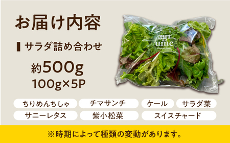 水耕栽培 新鮮サラダ野菜の詰め合わせセット 約100g×5袋 長与町/アグリューム[EAI136]  新鮮 野菜 サラダ さらだ セット 詰め合わせ
