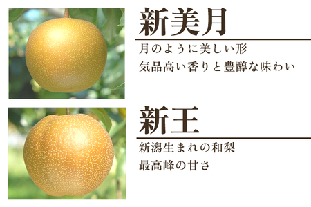 【2026年先行予約】旬の和梨 年6回定期便 和梨6品種食べ比べ （豊水・あきづき・新美月・新王・新高・新興） 各3kg 合計18kg《9月中旬から順次発送》 旬の和梨をお届け 頒布会 限定品 フルーツ定期便 加茂市 新太郎農園