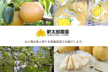 【2026年先行予約】【家庭用】幻の洋梨 ル・レクチェ3kg（8〜11玉） 《11月下旬から順次発送》