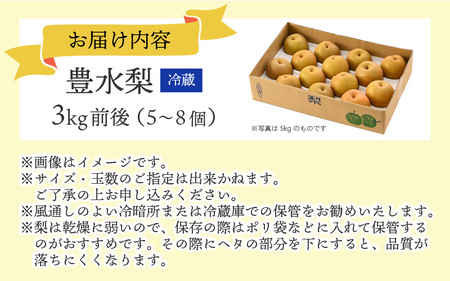 【先行予約】豊水梨 3kg前後 (5～8個) 甘くてジューシーな旬の梨【2026年8月下旬以降順次発送予定】 [A-15006]
