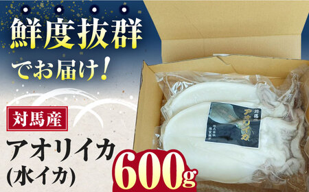 対馬産 アオリイカ 600g 海鮮 魚介 いか イカ 刺身 人気 おいしい おすすめ  [WAA028]