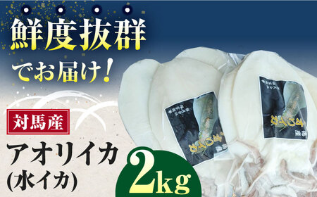 対馬産 アオリイカ 2kg烏賊 いか 刺身 冷凍  [WAA030]