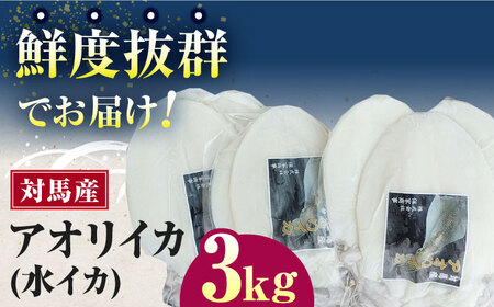 対馬産 アオリイカ 3kg烏賊 いか 刺身 冷凍  [WAA031]