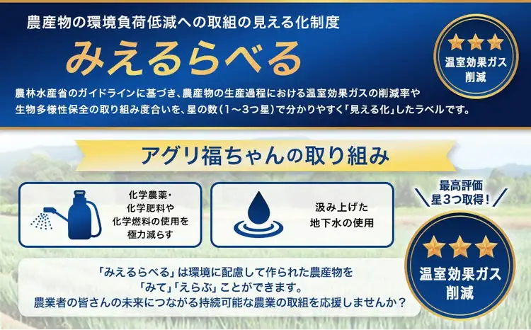 【訳アリ】【朝どれ】 鹿児島県産ナス 5kg 季節限定 農家直送 鹿児島県産 【2026年7月上旬から9月下旬発送予定】 ZS-9107
