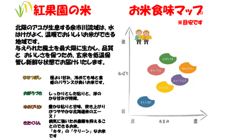 おぼろづき 産直 精米 北海道産 おぼろづき【5kg】