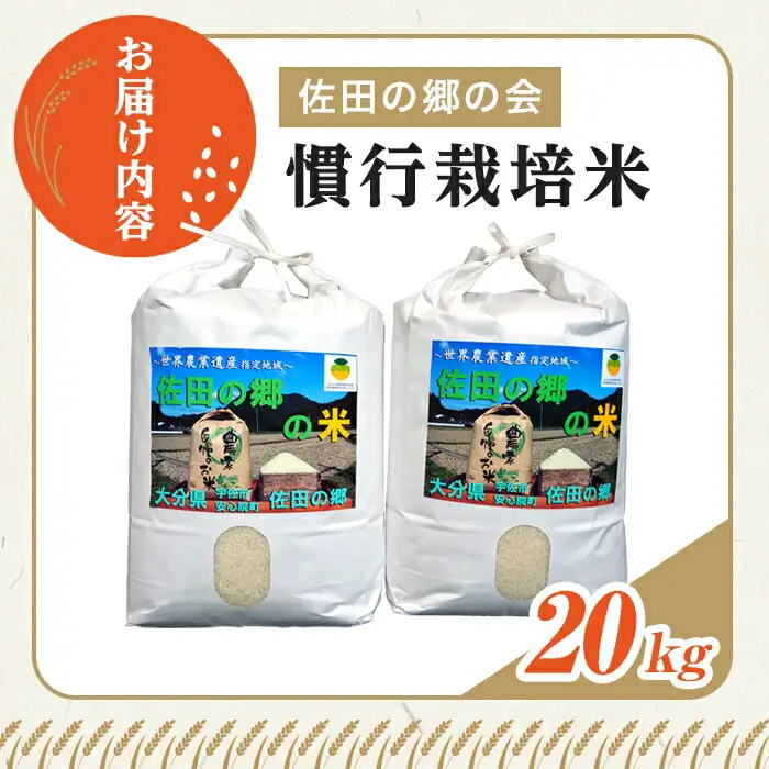 ＜令和7年産＞佐田の郷の米 慣行栽培米(20kg)お米 白米 ごはん ヒノヒカリ ひのひかり ブランド米 常温 常温保存【111700304】【雅設置プロジェクト　佐田の郷の会】