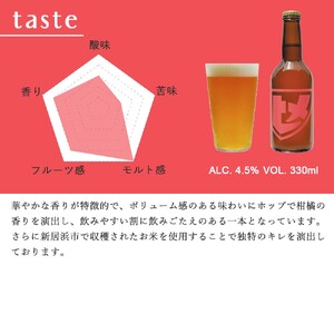 新居浜初 クラフトビール ヒメビール 2種飲み比べ セット 330ml×6本 Niihama Beverage 愛媛果汁食品