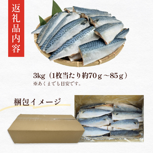 訳あり 塩 サバ フィーレ 3kg さば 鯖