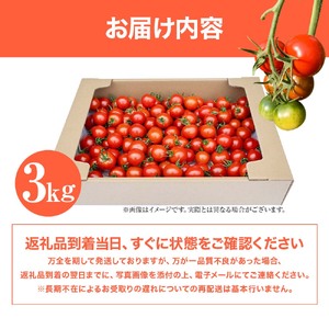 【11月発送】トマト（中玉サイズ）3kg ミニトマト【R01038】