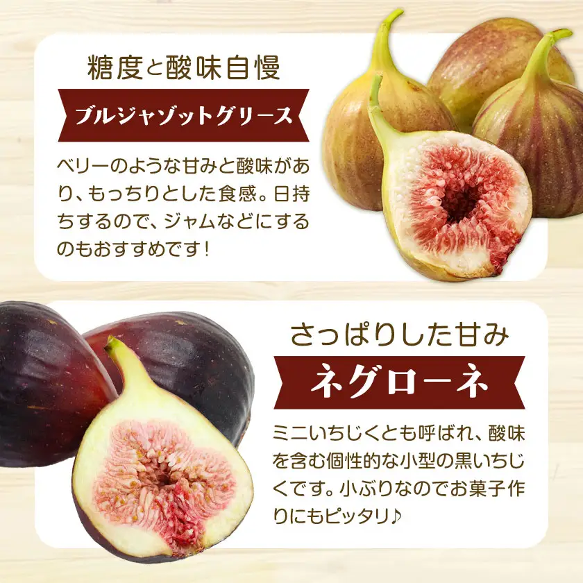 完熟いちじく ミナクルファーム 食べ比べ　フルーツ 果物 くだもの いちじく イチジク 無花果 完熟 《2026年8月中旬-9月末頃出荷》熊本県 苓北町