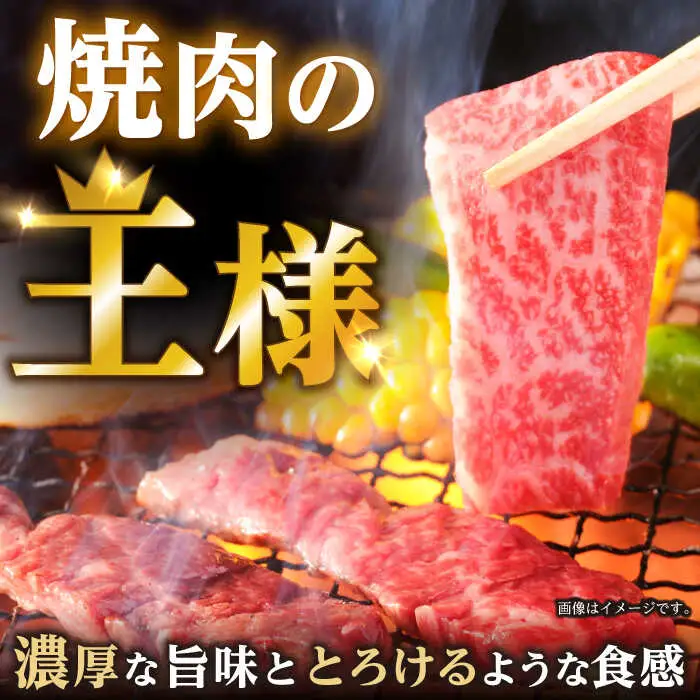 長崎和牛 A5 焼肉 上カルビ 1kg(500g×2) / 和牛 牛肉 肉 カルビ かるび A5ランク キャンプ BBQ バーベキュー / 諫早市 / 野中精肉店 [AHCW055]