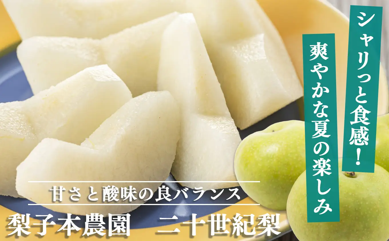  【 先行予約 】 梨子本農園 の 梨 （ 二十世紀 ）約 3kg | 