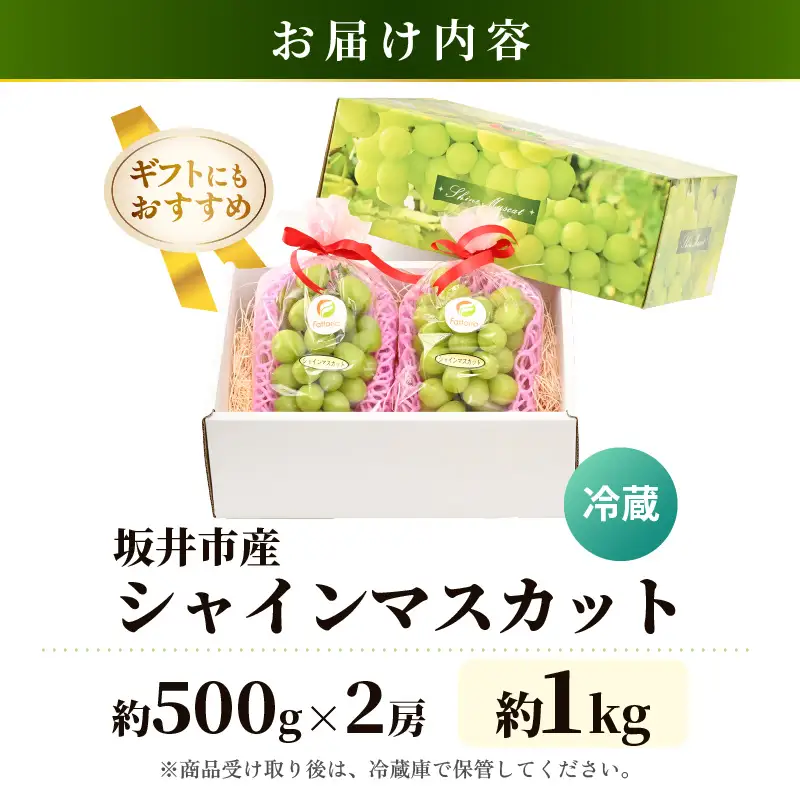シャインマスカット 約500g×2房入り（合計：約1kg）化粧箱入り 2027年8月中旬以降順次発送予定 ブドウ マスカット フルーツ [A-19105]