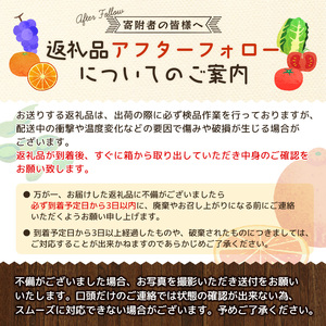【2027年3月より順次発送】和歌山県産ブランドいちご「まりひめ」約300g×2パック入り ※2027年3月上旬～3月下旬頃発送予定（お届け日指定不可）【tec965A-3】