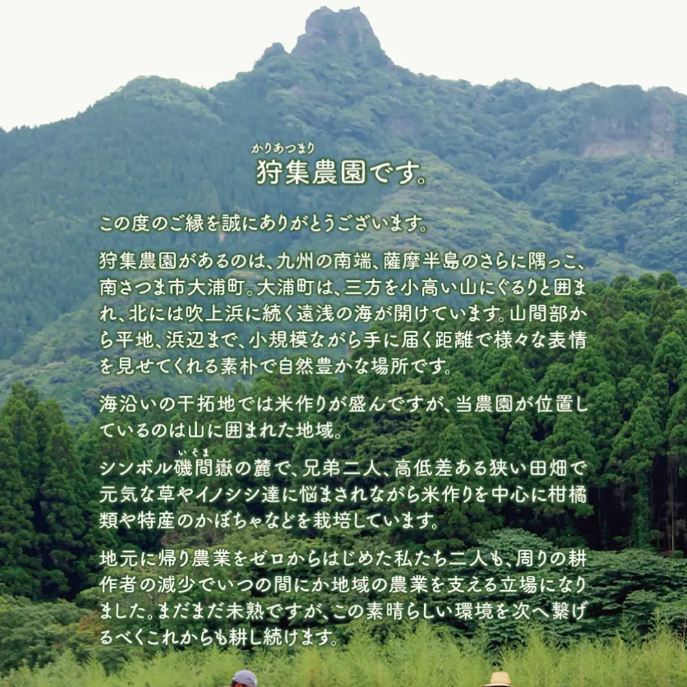 【令和6年産】＜新米・8月発送開始＞ 狩集農園の我が家で食べてるお米 5kg 鹿児島県産 コシヒカリ 米 白米 お米 おこめ コメ 精米 狩集農園 南さつま市