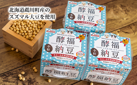 納豆 酵福納豆 なかいさんちの手造り納豆【40g×3パック 計8個】【定期便 3ヵ月】