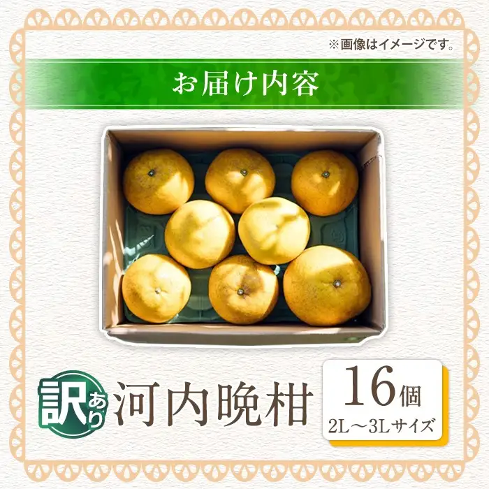 ＜先行予約受付中！2027年3月中旬以降順次発送予定＞訳あり 河内晩柑(2L～3L・16個・約6.4kg) 柑橘 フルーツ 果物 国産 みかん 期間限定 数量限定 【株式会社土曜日】akn069-14