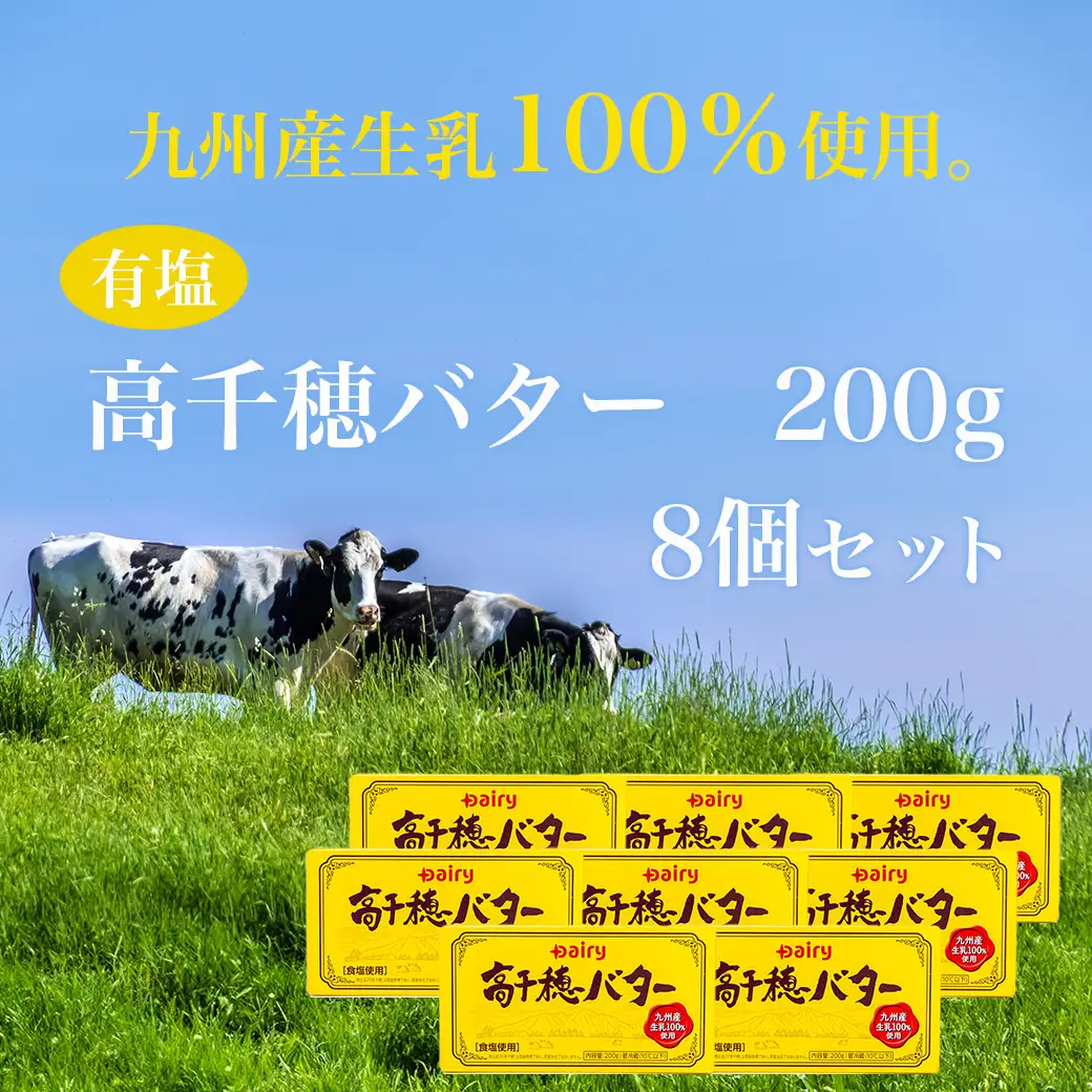 高千穂バター8個セット〔16-2301〕_(都城市) 高千穂バター 九州産生乳 有塩タイプ 爽やか スッキリ トースト 料理 お菓子づくり 熟練の職人 風味豊か とろける ジュワー 南日本酪農