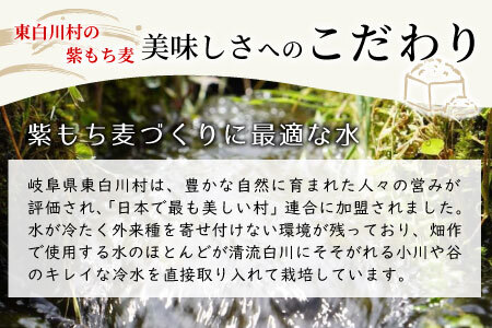 【令和7年度産】 東白川村産 紫もち麦 ダイシモチ 150g×2袋 計300g お米 こめ もち麦 雑穀 精米 ご飯 お取り寄せ