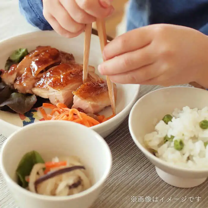 【波佐見焼】こども用食器3点セット(恐竜) 【studio wani】[MB48]